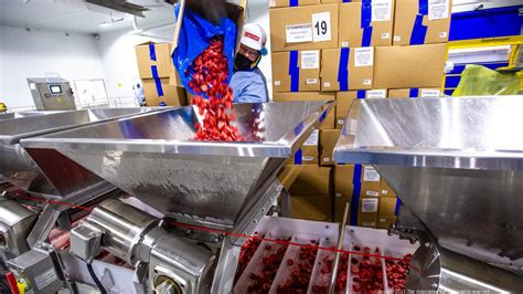 dole location|dole processing plant locations.
